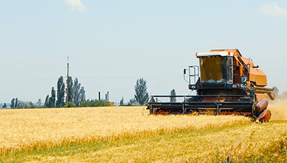 Θεριζοαλωνιστική μηχανή στο χωράφι